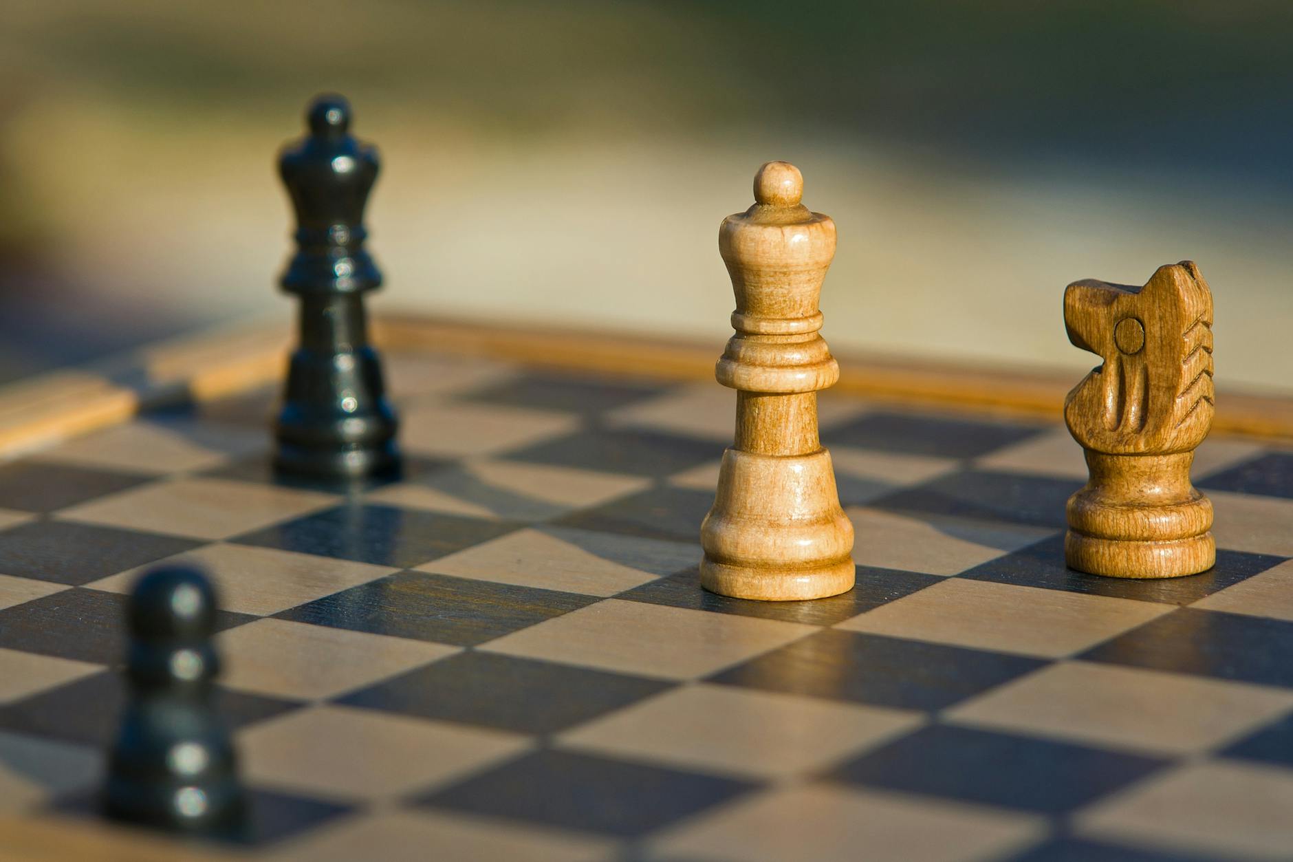 brown and black wooden chess piece